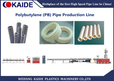Tubo del polibutilene di produzione Machine/PB del tubo del polibutilene che fa macchina